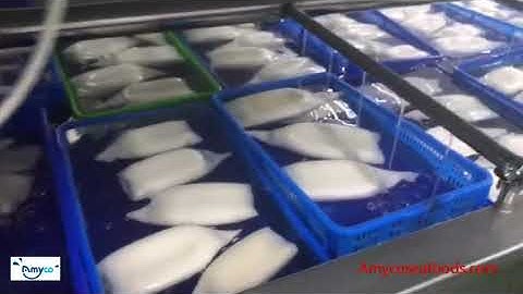 Squid process video 3