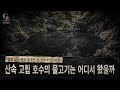 산속 고립 호수의 물고기는 어디서 왔을까 | 물길 없는 외딴 웅덩이 속 생명의 미스터리