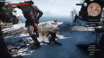 Witcher 3 Level 30 Cyclops Kill