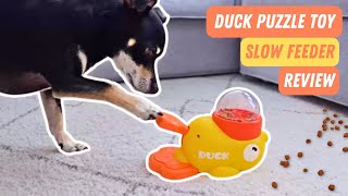 My Scared Dog Learned To Love This Duck Treat Dispenser Toy