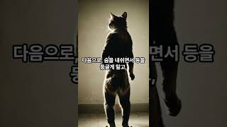 허리, 고관절, 엉덩이 통증 없애는 1분 운동