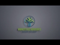 MoneyTree Advidory: Teaser VIdeo