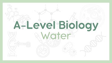 WATER : ALL the properties to know! | A-Level Biology (AQA, OCR, Edexcel)