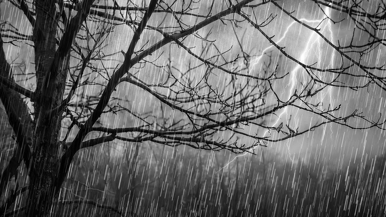 MEGA Thunderstorm Sounds! | Spooky Sound of Rain and Thunder Ambience!