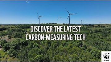 Discover the Latest Carbon-Measuring Tech