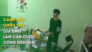 Cảnh báo chiêu trò lừa đảo làm căn cước công dân giả | Thái Nguyên TV