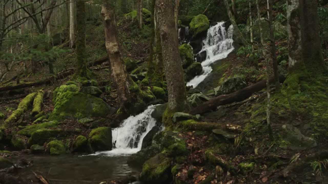 Waterfall Great Smoky Mountian Waterfall at Tremont 4k Relaxation