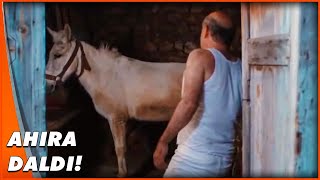 Antalyanın Çılgın Muhtarları Olur İnşallah Türk Komedi Filmi