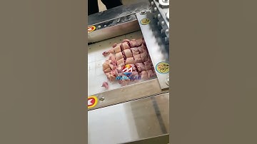 Automatic Chicken Cutting Machine/ Duck Bone Cutting Machine #cuttingmachine #chicken #bonecutter