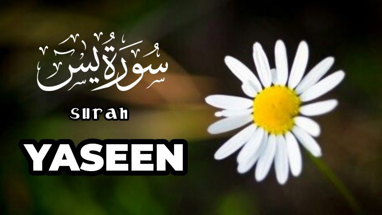 Most Relaxing Tialawt  Of-Surah Yaseen ( سورہ یٰس ) Kitabullah Sr New Voice 2025