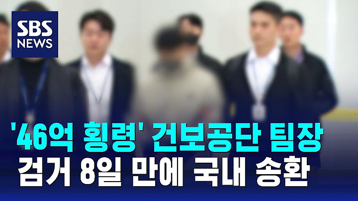 '46억 횡령' 건보공단 팀장, 도주 1년 4개월 만에 국내 송환 / SBS