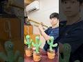 【サボテン】トランペット吹きの休日吹いてみた！ #トランペット #trumpet