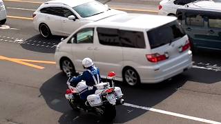 【実録】警察取締り24時LIVE：白バイ・パトカー密着取材、検挙の瞬間ノンストップ放送【警察vs交通違反者】