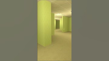 Banana Cat & Apple Cat chasing me 😂