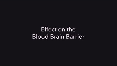 Mercury’s Effects on the Blood Brain Barrier FULL LENGTH