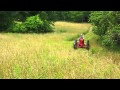 Cutting Hay