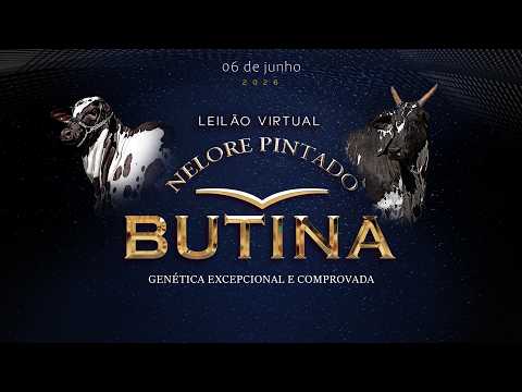 LOTE 01