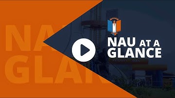 117th Inaugural Lecture Series of Nnamdi Azikiwe University, by Prof. Joseph Tagbo Nwabanne