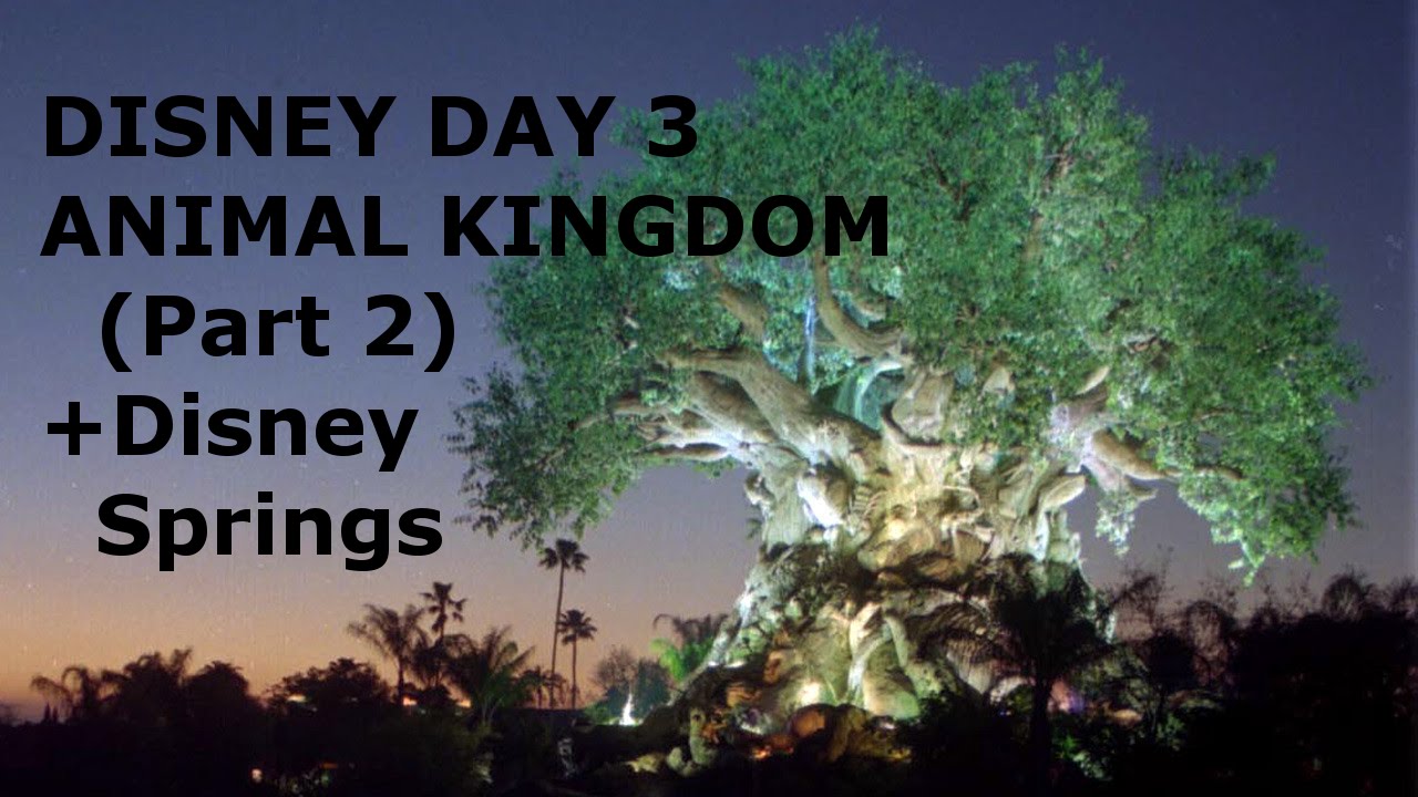 DISNEY WORLD 2016 DAY 3 Animal Kingdom Part 2 & Disney Springs YouTube