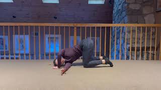Quadruped Thoracic Iso
