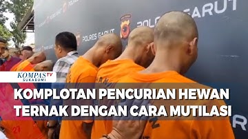 Polisi Tangkap Komplotan Pencuri Hewan Ternak Dengan Cara Disembelih