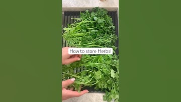 How to store fresh herbs so they last weeks! #shorts #herbs