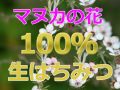 ワトソン社マヌカハニー！商品紹介！