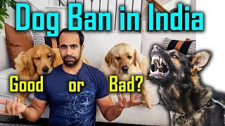 Dog Ban in India | Right or Wrong? Kya Sahi Decision Hai?