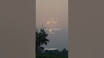 سورة نوح #allah #alquran #shots #shotsvideo #foryou #toptrending