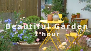 No subtitle, No BGM / Beautiful garden Healing video  for 1 hour