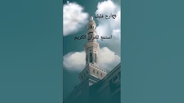 اكتب شيء تؤجر عليه يوم القيامة 😴❤️#قران_كريم #اللهم_صل_وسلم_على_نبينا_محمد #ارح_قلبك #آيات_الرحمة