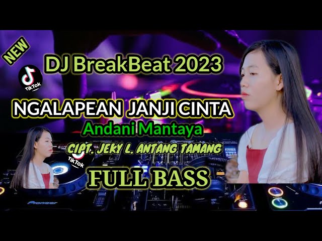 DJ Ngalapean Janji Cinta - Andani Mantaya - Cipt. Jeky L. Antang - DJ Lagu Dayak Terbaru 2023 class=