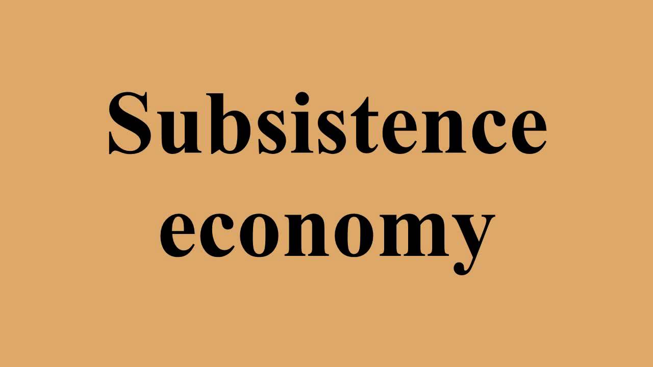 Subsistence economy
