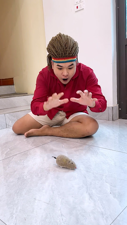 OMG cute 😨 🐀 🐭 🤣