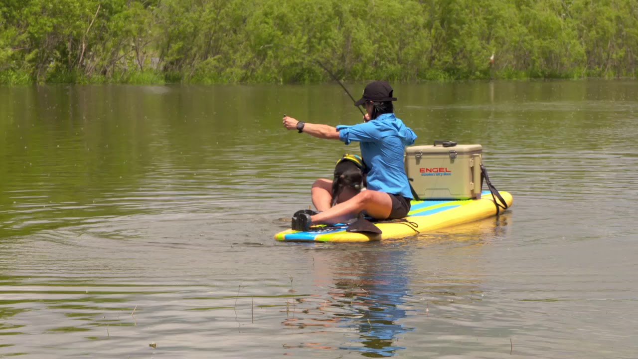 Spearing Carp from a Paddle Board in your flooded archery park YouTube