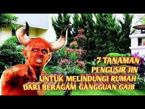 Video: 7 Tumbuhan Ajaib Terbaik Untuk Rumah