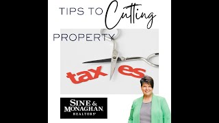 One Way to Dispute Your Property Taxes