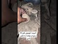 بيت مهجور 