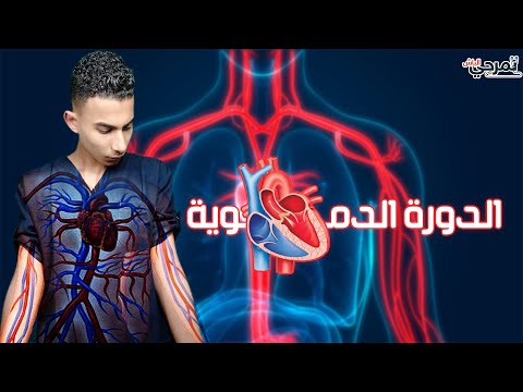   الدورة الدموية