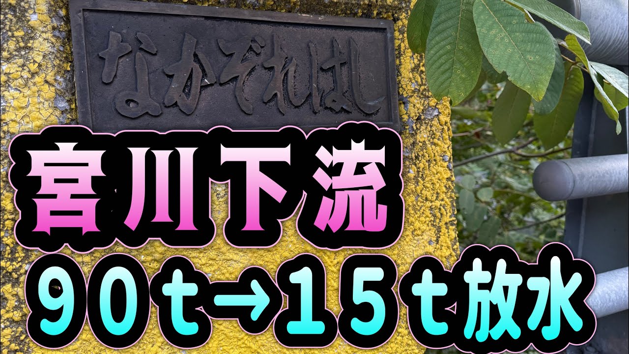 宮川下流90トン→15トン　ボコボコ