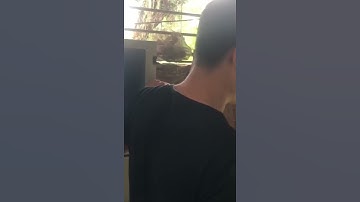 Người thợ mộc áp dụng công nghệ đục khắc gỗ tự động | CNC Đông Phương