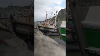 Kalk Bay Harbour, Western Cape, South Africa