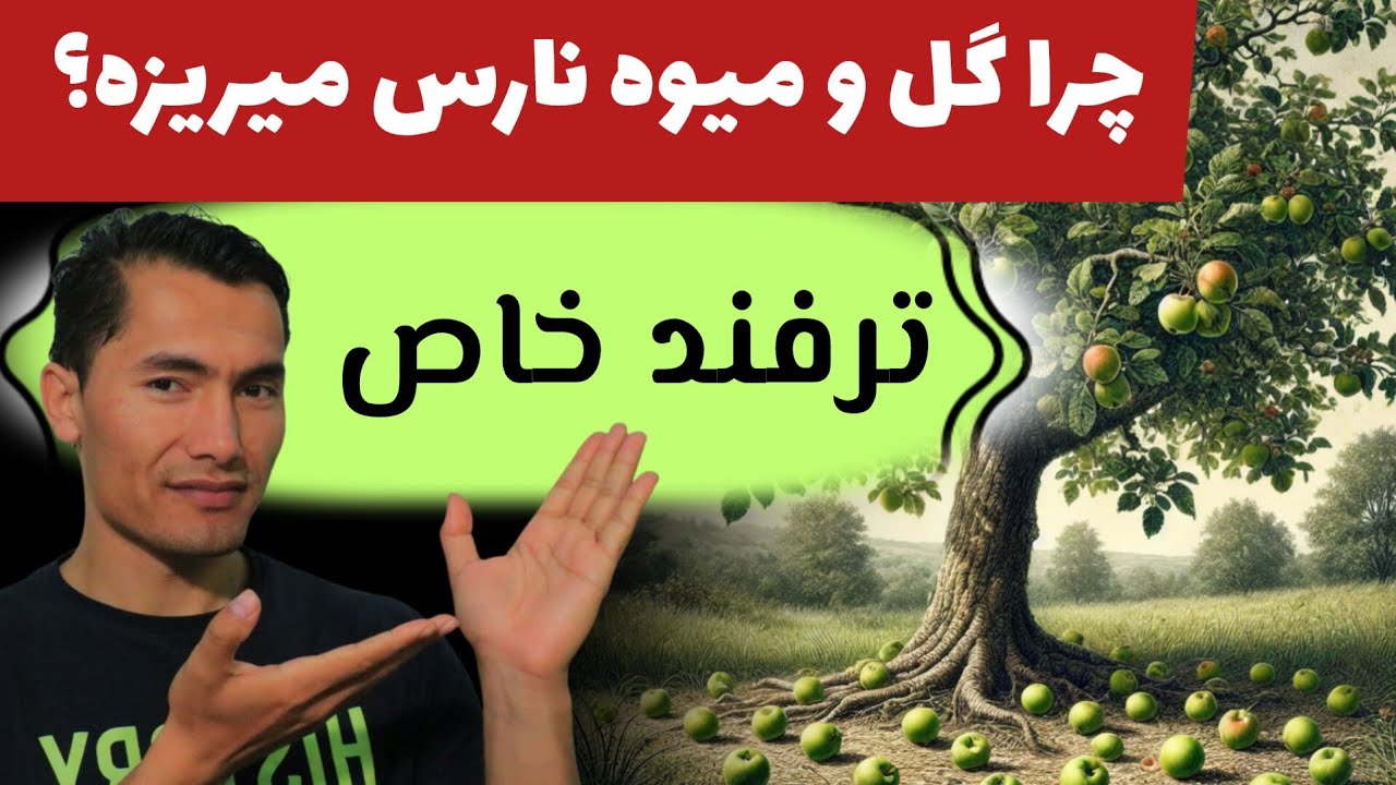 علت ريزش گل و میوه درختان چیست؟  چکار کنیم تا میوه ریز نشود؟