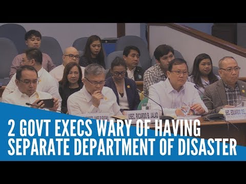 2 gov't execs wary of having separate dep't for disaster risk reduction