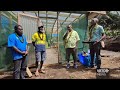 VCCRP nursery & multiplication plot established in Nguna Pele area council | VBTC News