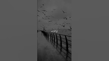 اذكر الله | قدر تعبي بأكسبلور#قرآن_كريم#قرآن#ياسر_الدوسري#محمد_اللحيدان#القرآن_الكريم#تلاوة_خاشعة#qu