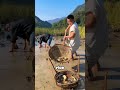 Chinese fish rice framing