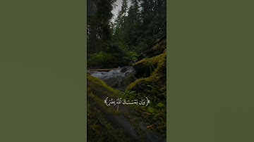 تلاوة هادئة للقارئ عبد الرحمن مسعد
