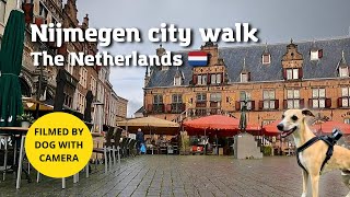 Nijmegen virtual walk by One Dog Show 150 views 1 month ago 2 minutes, 40 seconds