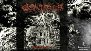 Genitals - Savagely Stuffed in a Suitcase